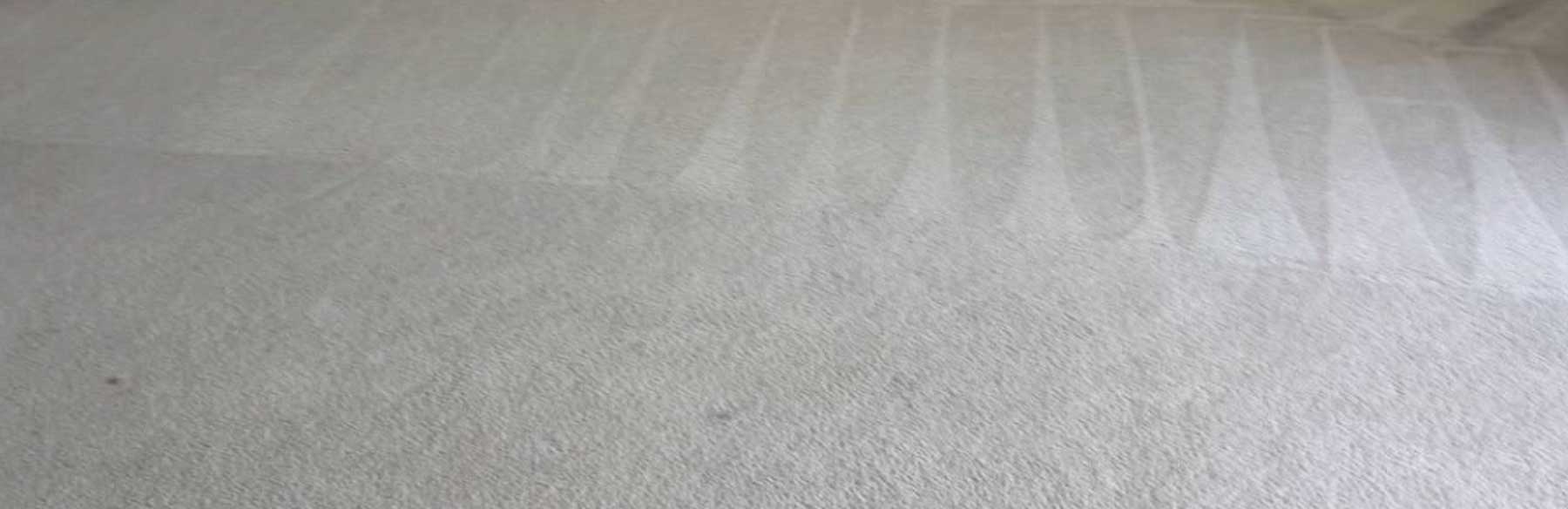 Cleaned carpet
