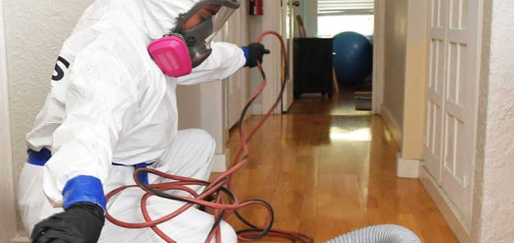 Person disinfecting inside of home