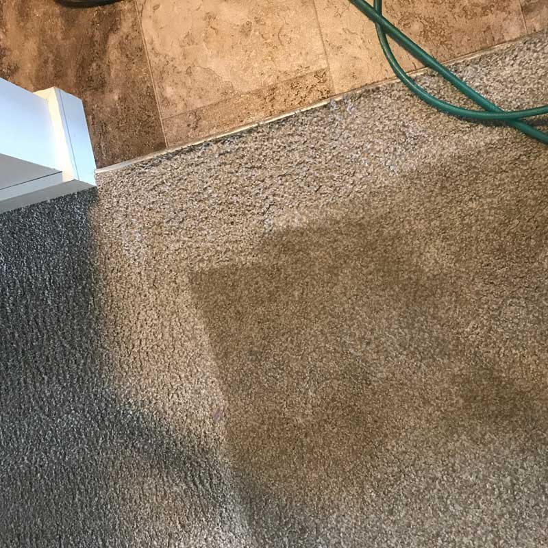 Carpet Cleaning