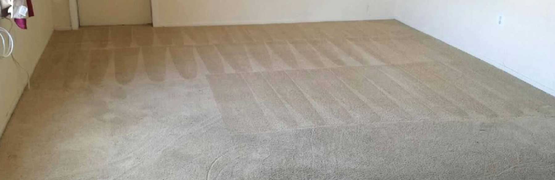 Cleaning carpet
